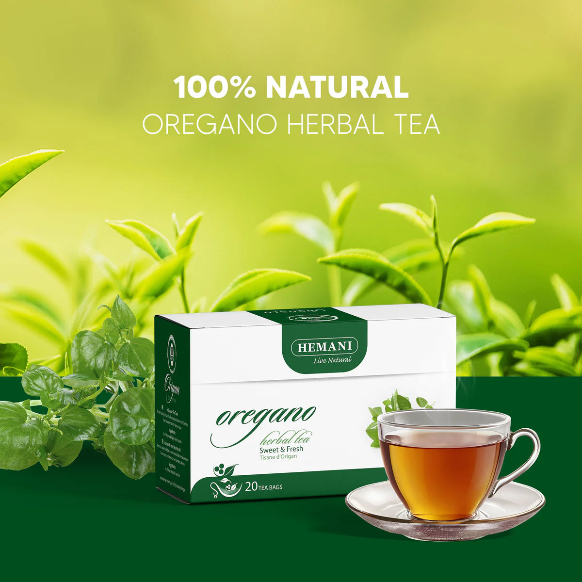 Herbal Tea - Oregano - 20 Tea Bags