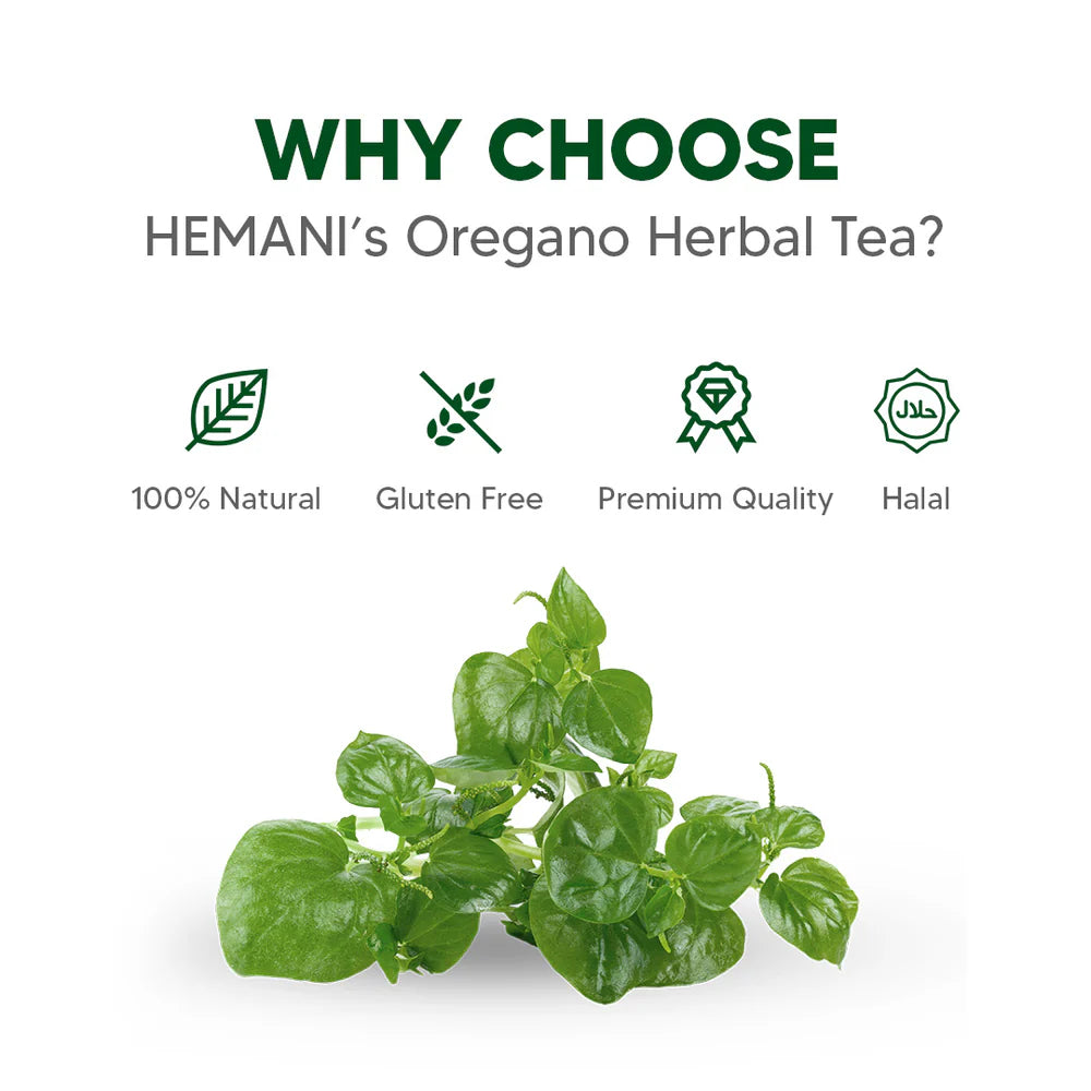 Herbal Tea - Oregano - 20 Tea Bags